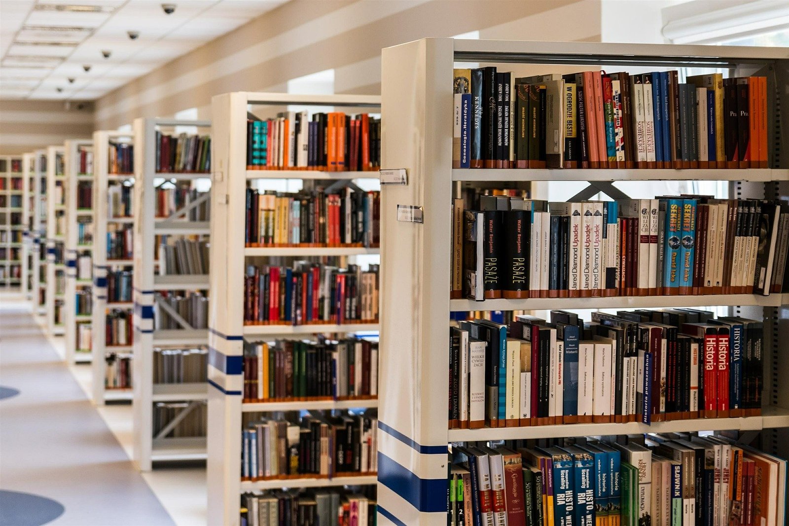 School Knowledge Library & Reading Sanctuary